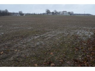 Property photo 24 - FARM AUCTION - 60.5+/- ACRES IN 5 TRACTS IN ALLEN COUNTY, INDIANA